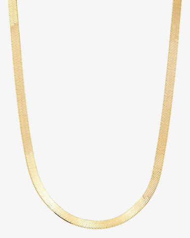 Herringbone Chain Necklace - Evergleam Jewelry