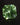 Hand-cut blue-green lab-grown sapphire loose gemstone in Marco Voltolini Squilliant faceting design-4