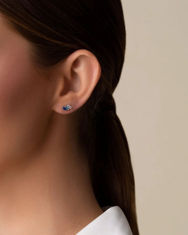 Ombre Studs - Evergleam Jewelry