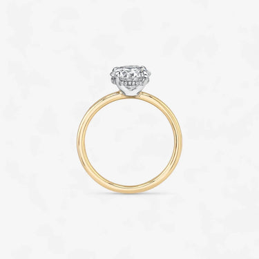 #18K Yellow Gold #14K Yellow Gold